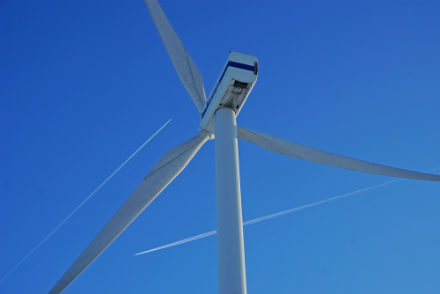 Im Reinhardswald sollen Windstandorte in Kooperation erschlossen werden.
