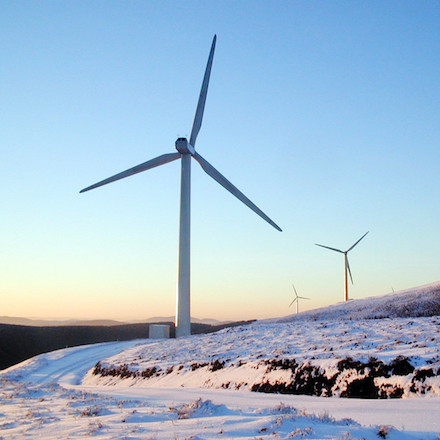 Der Windkraftanteil unter den Erneuerbaren liegt mit knapp 50 Prozent deutlich an erster Stelle.
