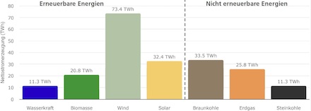 In diesem Jahr stammen bisher rund 65 Prozent des Stroms in Deutschland aus erneuerbaren Quellen.